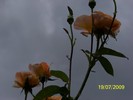100_8190