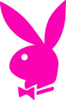 Playboy-Bunny