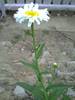 PICT0040