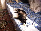 PICT0172