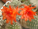 DSC01707