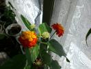 CIMG0194