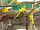 Picture 210