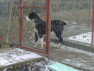 Fotografii-0019