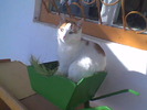 Imag002