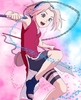 sakuraharunoae1