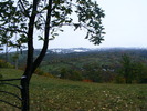 DSCF7334