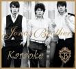 jonas brothers karaoke