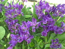 Imag022