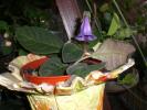 aug 2008 005