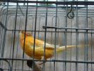 DSC00652