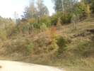 DSC02438