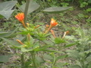 Picture 047