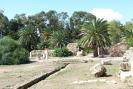 Tunisia_705