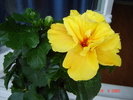 DSC02576