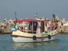 SANY0866