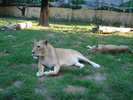 Picture 011