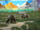 Picture 022