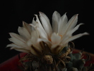 DSC00574