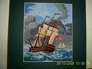 Mare involburata 70 lei