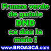 frunza%20verede%20de%20gutuie%20dnd%20ca%20dau%20la%20muie[1]