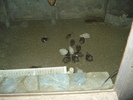 Picture 023