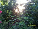 100_8013