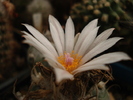 DSC01001