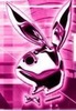pink_playboy_bunny