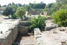 Tunisia_682