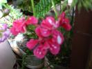 CIMG0069