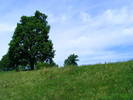 DSCF0537