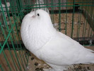 P1010179