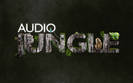 audio_jungle08