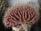 DSC06380