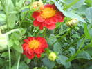 DSC00507