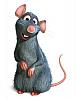 ratatouille