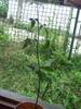 PICT0026