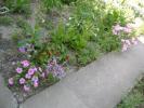 DSC08340