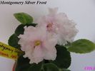 Montgomery Silver Frost 2009 jun 1