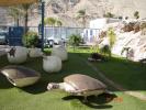 545 Israel - Eilat - The Observatory Marine Park