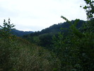 DSCF5004