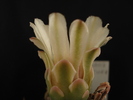 DSC09576