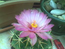 Imag068