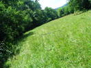 DSCF2635