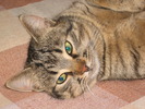 23 dec 2007 038
