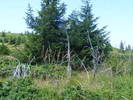 DSCF4149