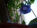 aug 2008 007