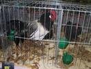 P8161839