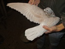 P9040436